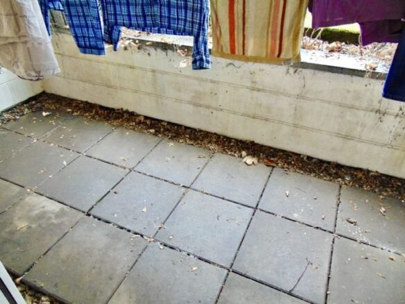 Bild 8.jpg